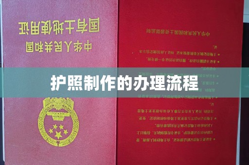 桑珠孜护照制作的办理流程