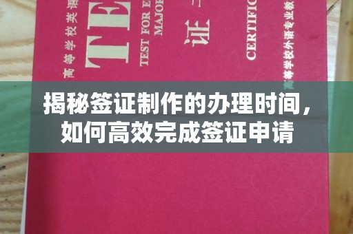 衡南揭秘签证制作的办理时间，如何高效完成签证申请